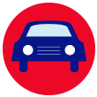 auto icon